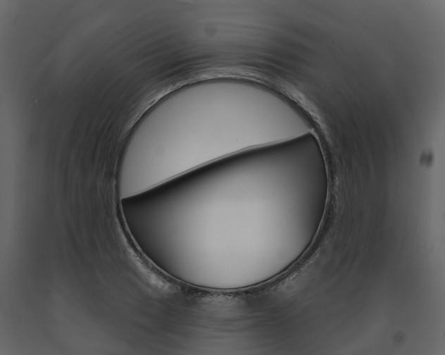 X0000091691033200708231126