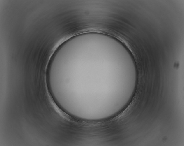 X0000091691034200708231126