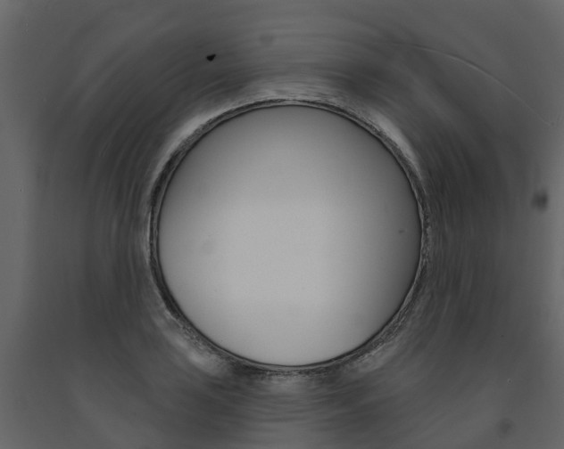 X0000091691035200708231126