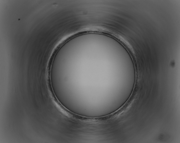 X0000091691037200708231126