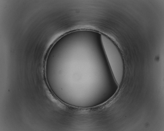 X0000091691038200708231126