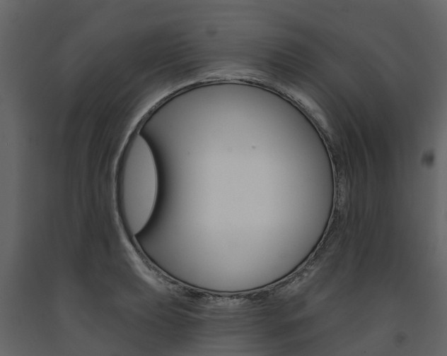X0000091691039200708231126