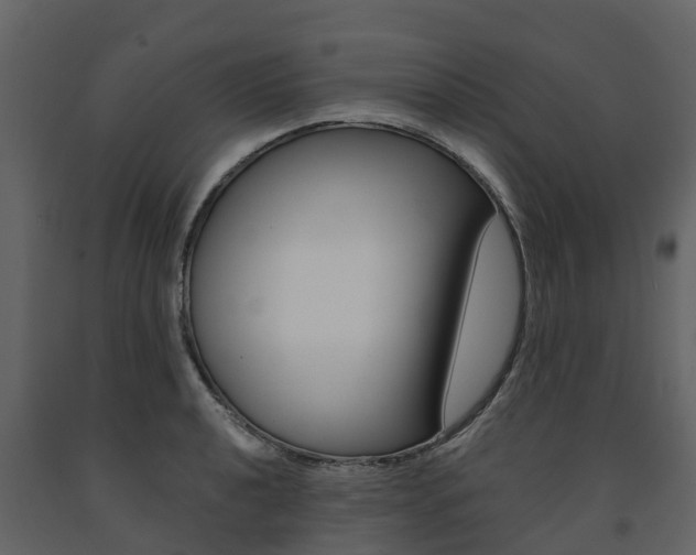 X0000091691040200708231126