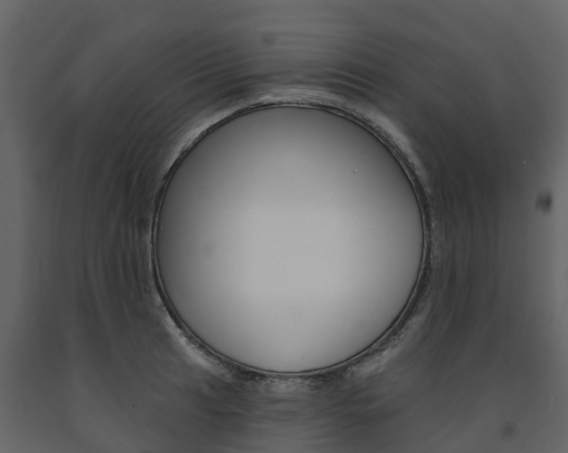 X0000091691041200708231126