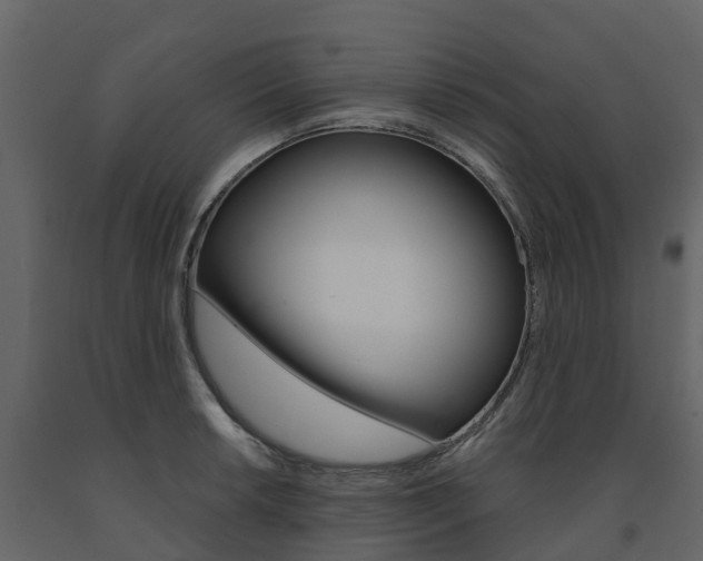 X0000091691042200708231126