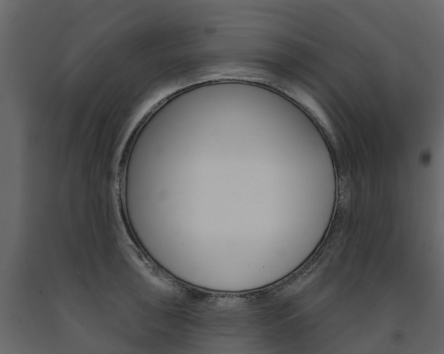 X0000091691043200708231126