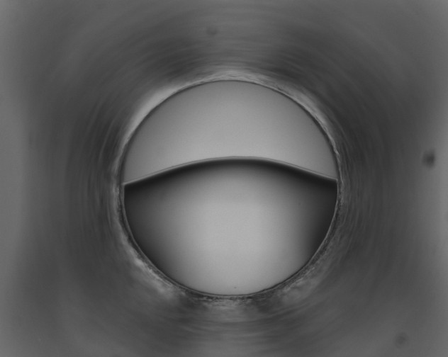 X0000091691048200708231126