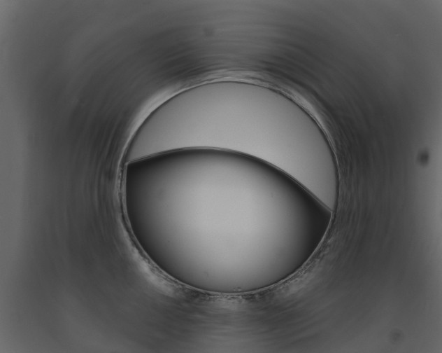 X0000091691050200708231126