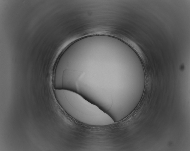 X0000091691051200708231126