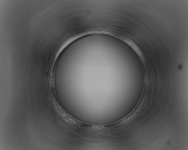 X0000091691052200708231126