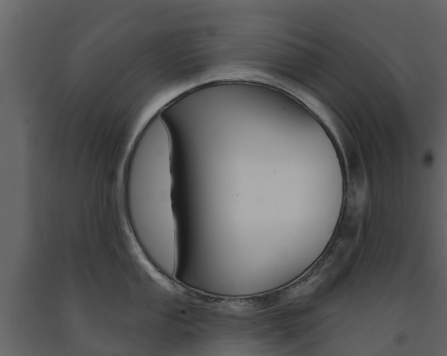 X0000091691053200708231126