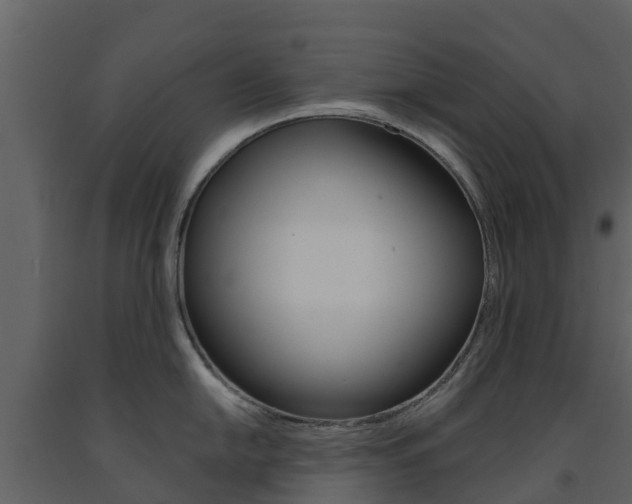 X0000091691054200708231126
