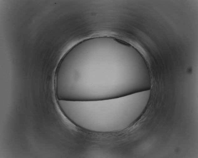 X0000091691055200708231126