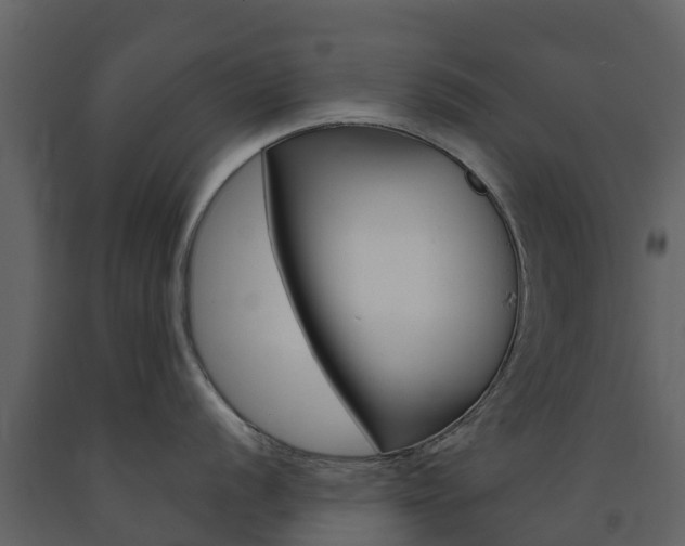 X0000091691056200708231126