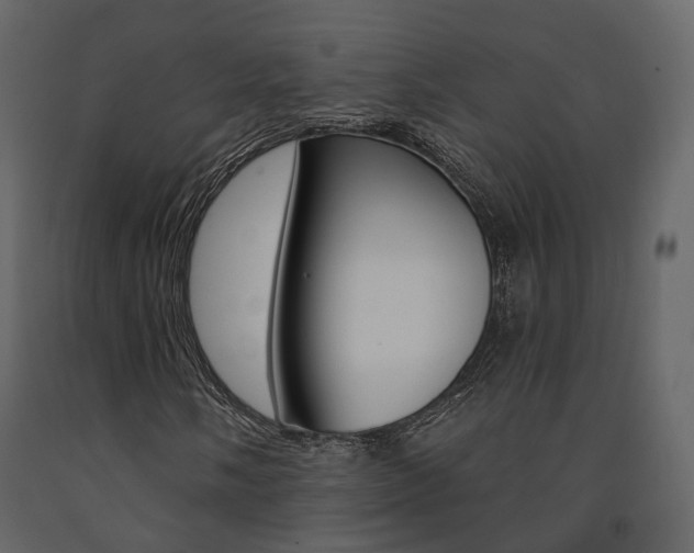 X0000091691058200708231125
