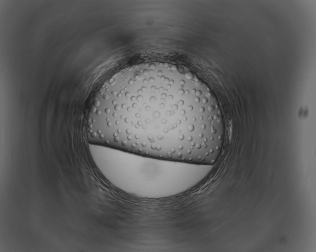 X0000091691059200708231125