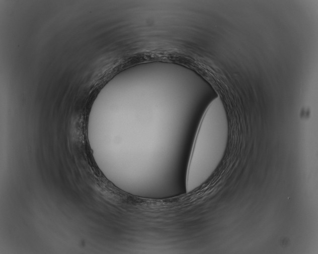 X0000091691060200708231125
