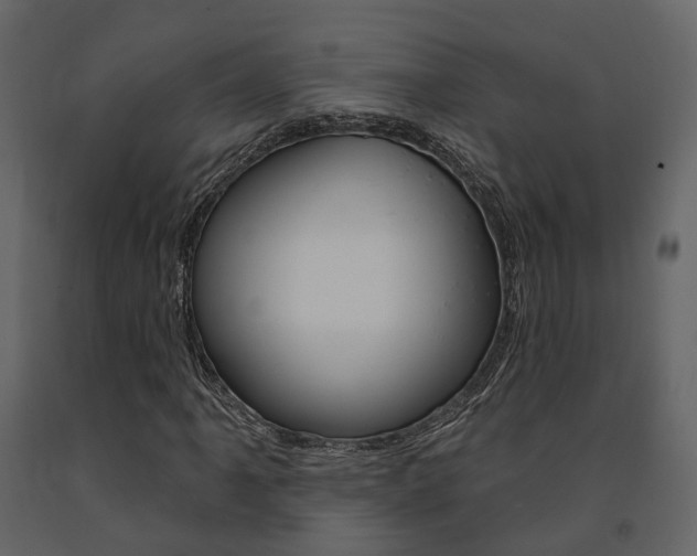 X0000091691061200708231125
