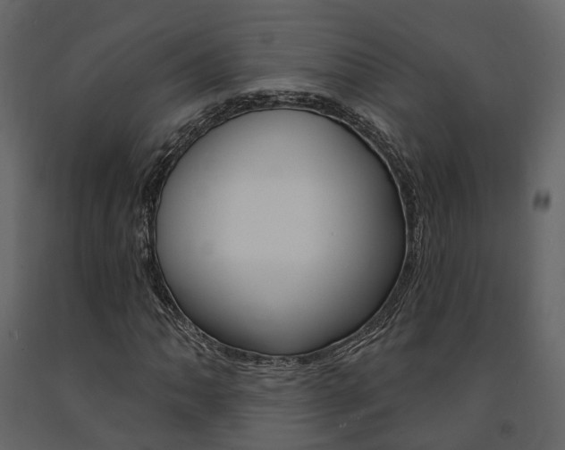 X0000091691062200708231125