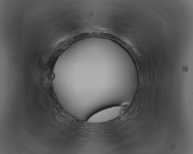 X0000091691063200708231125