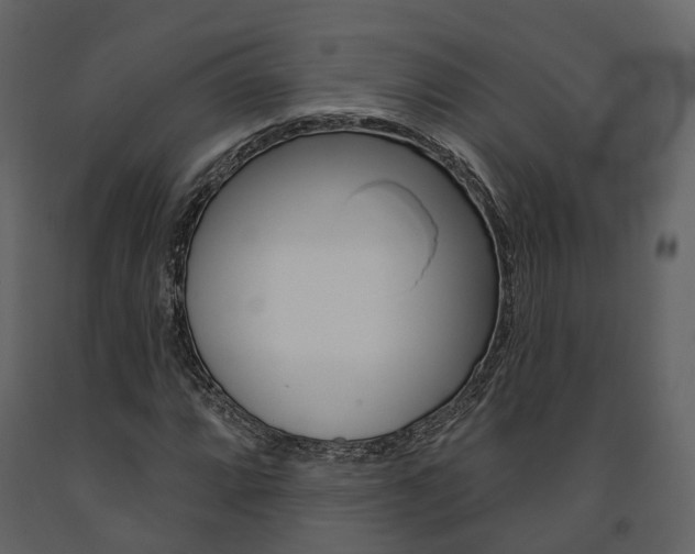X0000091691064200708231125