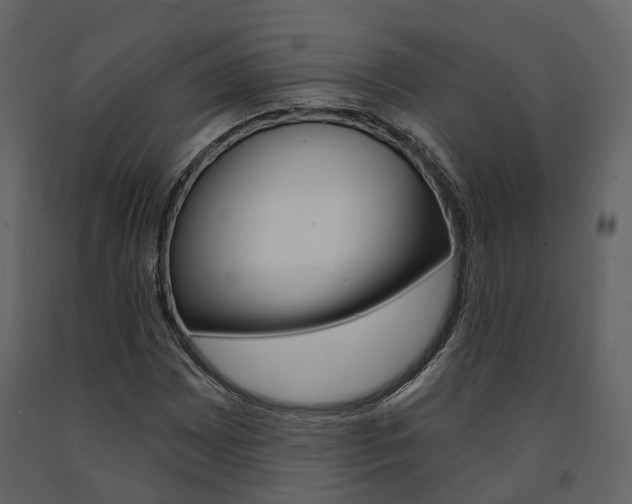 X0000091691065200708231125