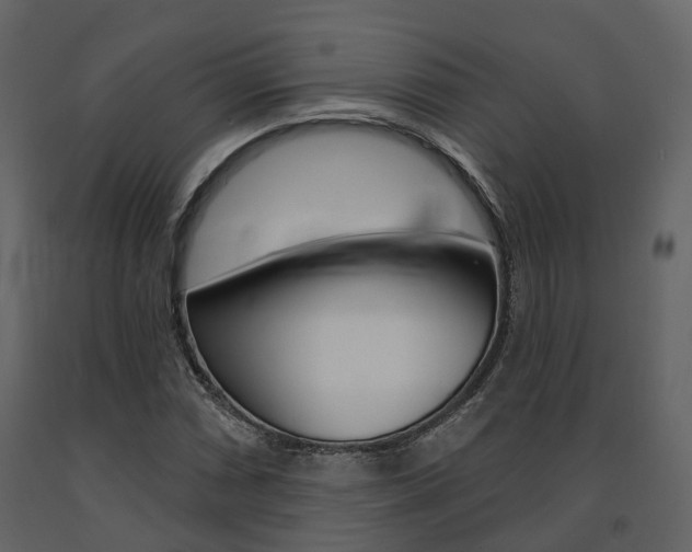X0000091691066200708231125