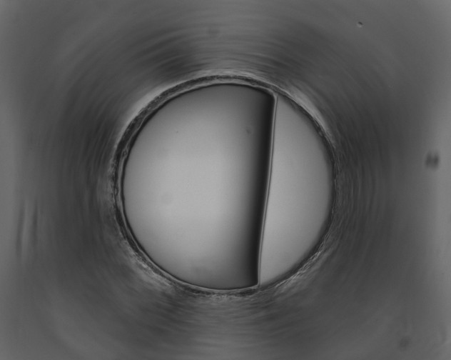 X0000091691068200708231125