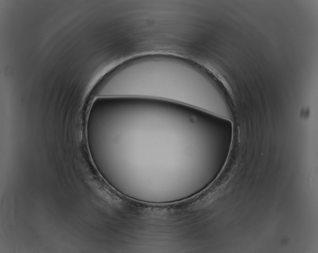 X0000091691069200708231125
