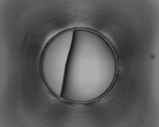 X0000091691070200708231125