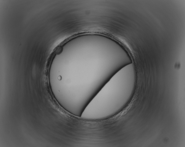 X0000091691071200708231125