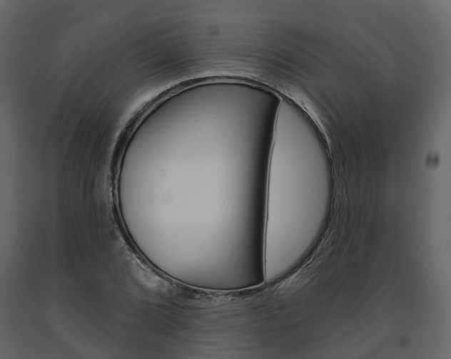 X0000091691072200708231125