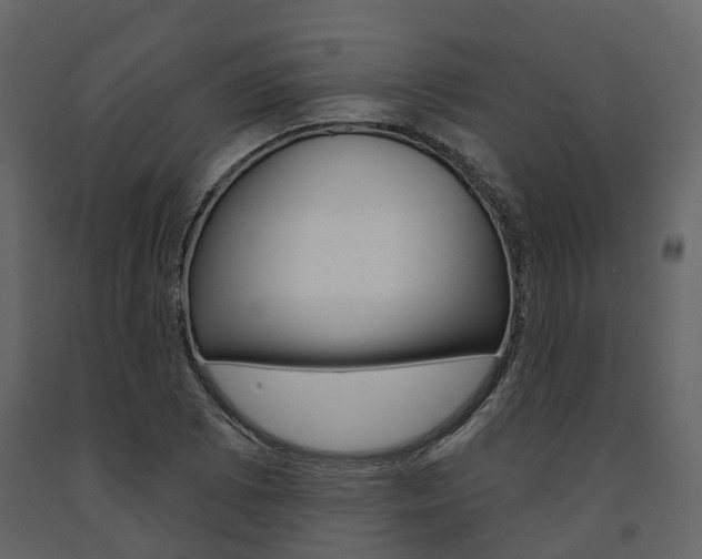X0000091691073200708231125
