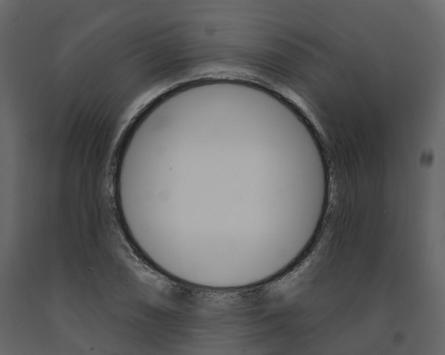 X0000091691074200708231125