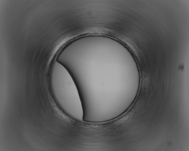 X0000091691075200708231125