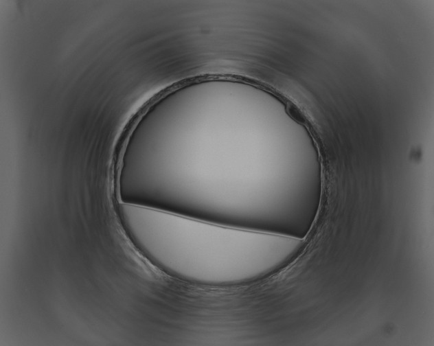 X0000091691076200708231125