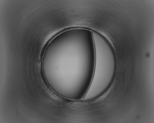 X0000091691077200708231125
