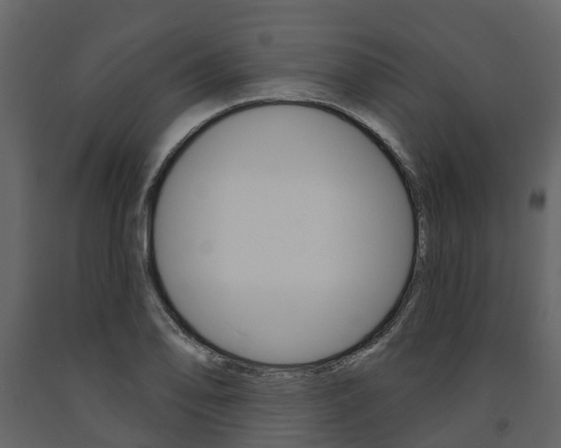 X0000091691078200708231125