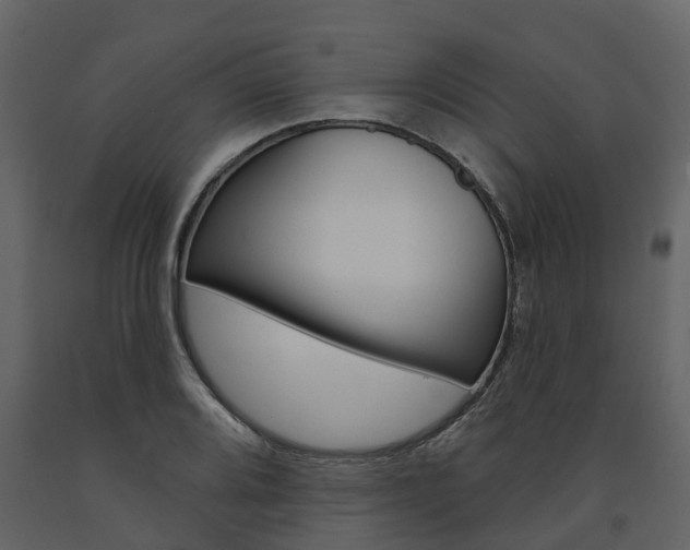 X0000091691080200708231125