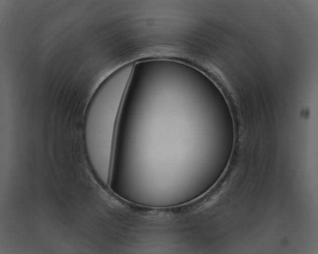 X0000091691081200708231125