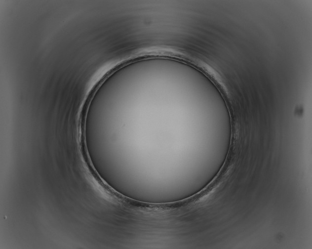 X0000091691082200708231125
