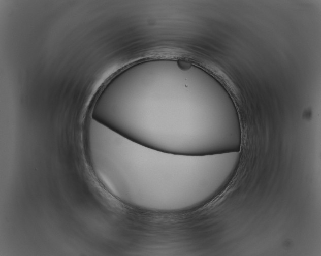 X0000091691083200708231125
