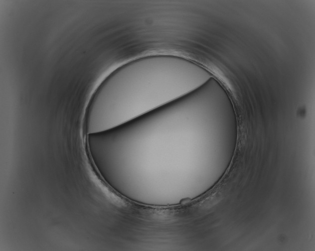 X0000091691084200708231125