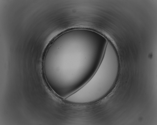 X0000091691085200708231125