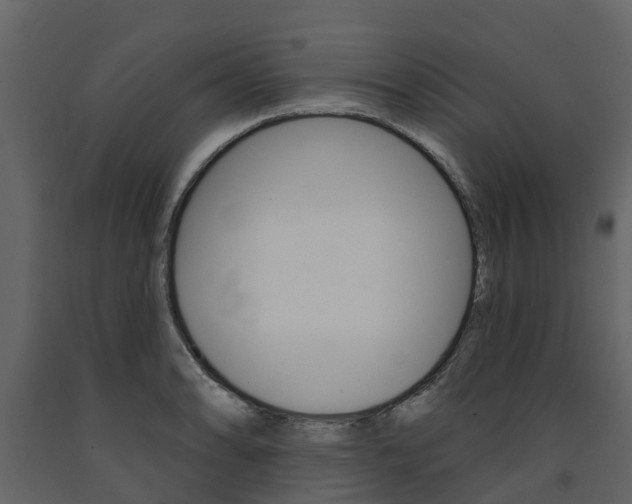 X0000091691086200708231125