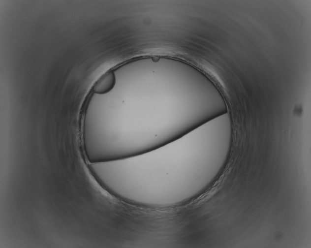 X0000091691087200708231125