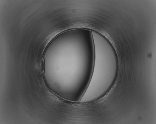 X0000091691089200708231125