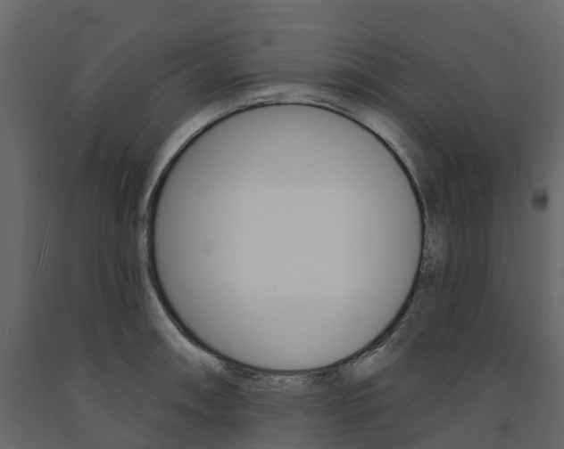X0000091691090200708231125