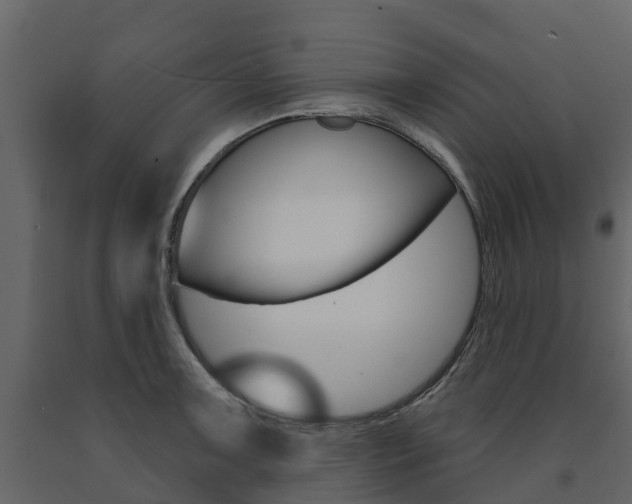 X0000091691091200708231125