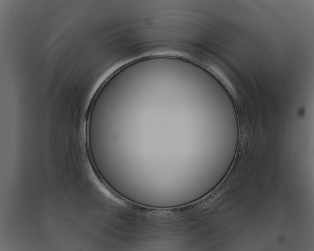 X0000091691092200708231125